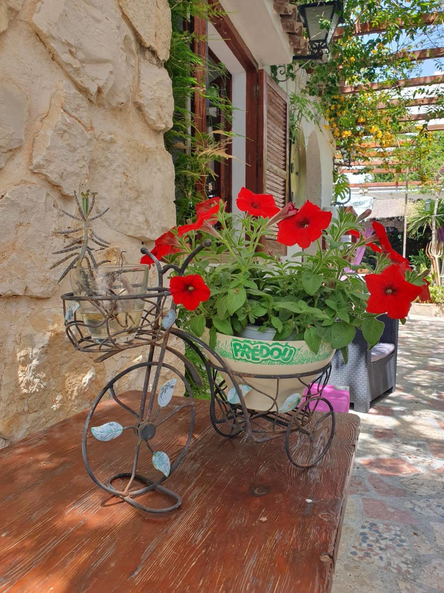 Hostal Mi Campana Denia Luaran gambar